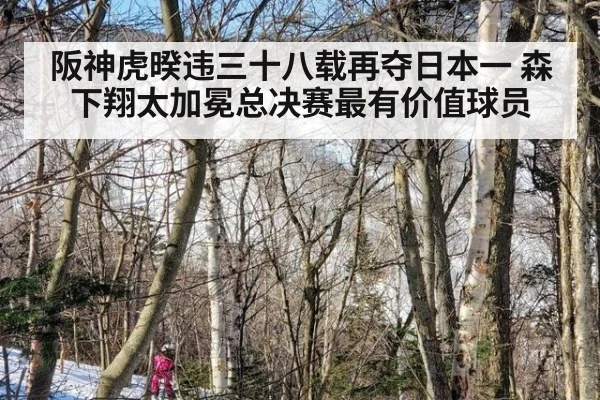 阪神虎暌违三十八载再夺日本一 森下翔太加冕总决赛最有价值球员